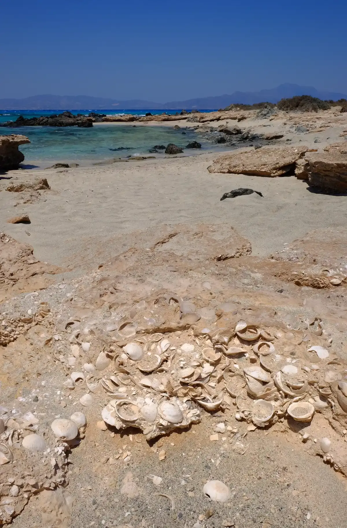 Coquina shell-rock on a Chrissi island beach, with the Ierapetra coast of Crete behind