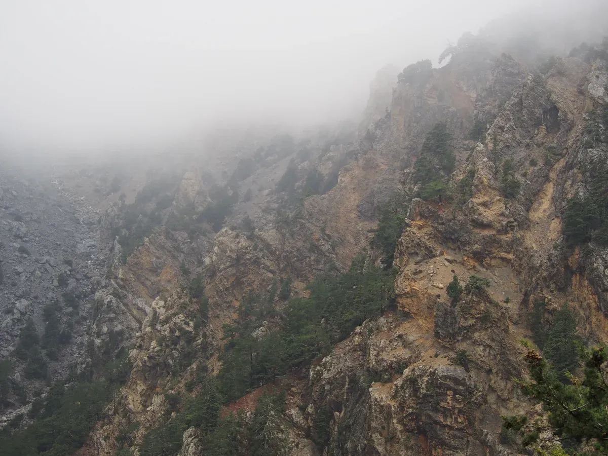 View down the pale limestone walls of Samaria Gorge from the Xyloskalo entrance path, Crete